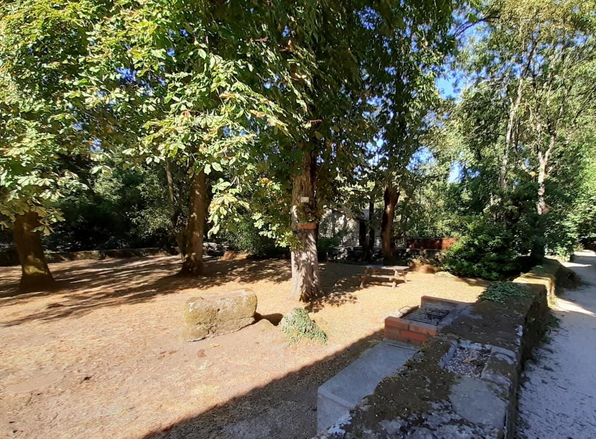Village De Gites Du Moulin Neuf Getigne Εξωτερικό φωτογραφία